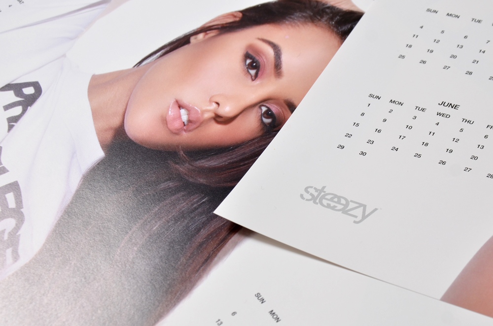 PRIVILEGE x Danny Steezy – 2014 Calendar