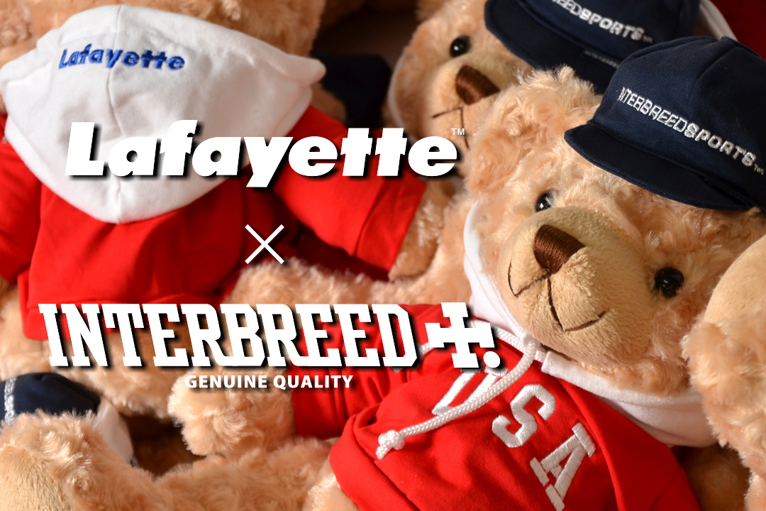 Lafayette × INTERBREED – Lo Teddy Bear Delivery